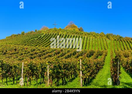 Deutschland, Baden-Württemberg, Bodensee, Meersburg, Reblage Haltnau mit Kriegsgräberstätte Lerchenberg Stockfoto