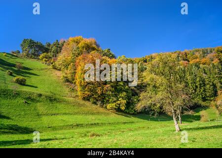 Deutschland, Baden-Württemberg, Bodensee, Sipplingen, Landschaft am Blütenweg Stockfoto
