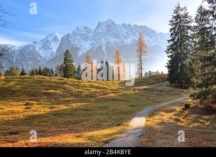 Herbstlandschaft am Höhenrain-Weg gegen Zugspitzberge (2962m), Grainau, Wettersteingebirge, Werdenfelser Land, Oberbayern, Bayern, Deutschland Stockfoto