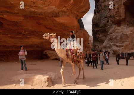 Jordan, Petra, ein Beduinenjunge sitzt auf einem Dromedary in der Rockstadt Petra. Stockfoto