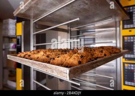 Auf einem Backblech sind frische Weihnachtsstollen. Stockfoto