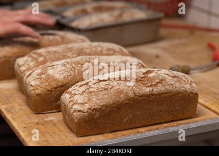 Auf einem Holzbrett liegen Kiste Brote. Stockfoto