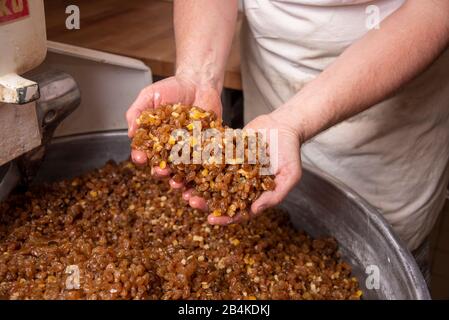 Baker zeigt Sultaninen, die in einem Rührer liegen. Diese gehören zu den Zutaten, die für den Weihnachtsstollen benötigt werden. Stockfoto