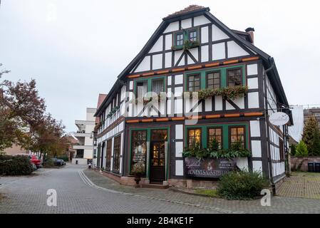 Deutschland, Thüringen, Schmalkalden, Fachwerkhaus mit Blumenladen in der historischen Altstadt des Fachwerk Schmalkalden. Stockfoto