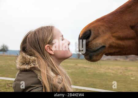 Kleben, junges Mädchen, junges Pferd, Nase an Nase, Nasenlöcher. Stockfoto