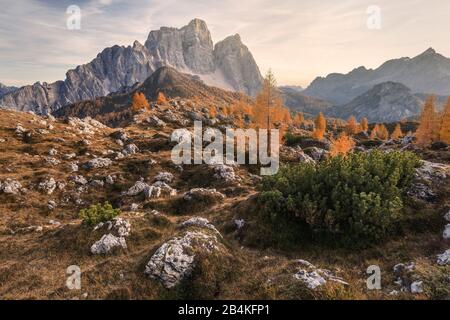 Uralte Landschaft auf der Prendera Alm, im Hintergrund die Nordwand des Mount pelmo, der dolmen, san vito di cadore, belluno, veneto, italien Stockfoto