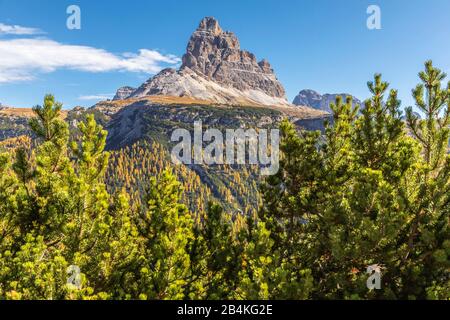 Der Tre Cime di Lavaredo im Herbst von den Monte Piana, den Dolmen, dem Auronzo di Cadore, Belluno, Venetien, Italien aus gesehen Stockfoto