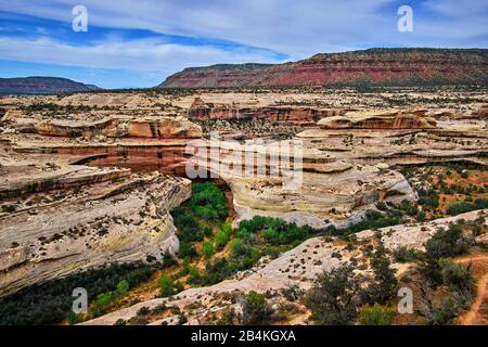 USA, Vereinigte Staaten von Amerika, Utah, Arizona, Bridges National Monument, San Juan Country, Utah, Colorado Plateau, White Canyon, Armstrong Cano, Stockfoto