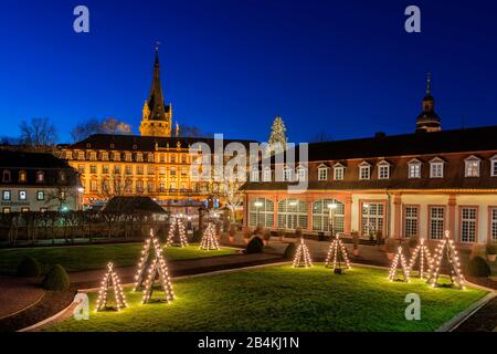 Erbach, Hessen, Deutschland, Europa, Schloss Erbach und Orangerie im Vorfeld von Weihnachten Stockfoto