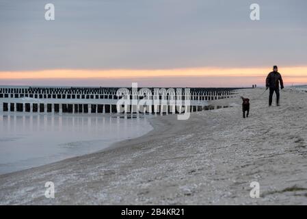 Deutschland, Mecklenburg-Vorpommern, Zingst, Kinderwagen mit Hunden am Strand, Sonnenaufgang Stockfoto