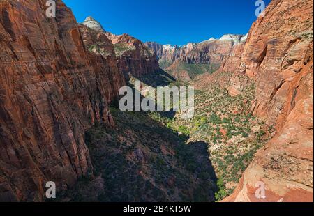 USA, Utah, Washington County, Springdale, Zion National Park, Landschaft am Zion, Weg zum Canyon Overlook Stockfoto