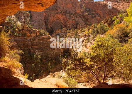 USA, Utah, Washington County, Springdale, Zion National Park, Landschaft am Zion, Weg zum Canyon Overlook Stockfoto