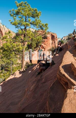 USA, Utah, Springdale, Zion National Park, Wanderweg zu Angels Landing View, gesichert mit Ketten Stockfoto