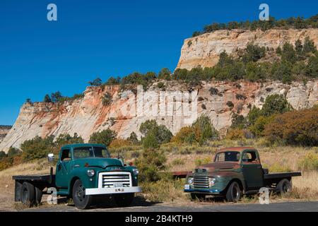 USA, Utah, Springdale, Zion National Park, Fahrt auf dem Mount Carmel Highway 9 Stockfoto