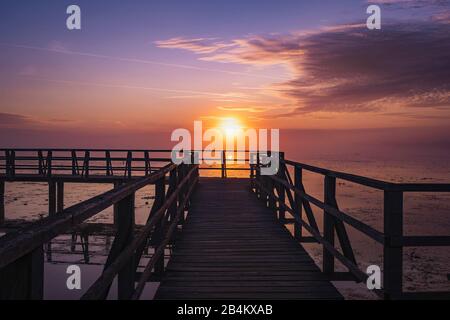 Anlegesteg, Sonnenaufgang, Federsee, Bad-Buchau, Baden-Württemberg, Deutschland, Stockfoto