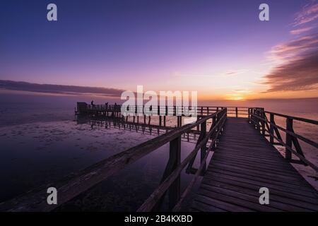 Anlegesteg, Sonnenaufgang, Federsee, Bad-Buchau, Baden-Württemberg, Deutschland, Stockfoto