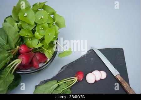 Purer Wintersalat aus dem eigenen Garten Stockfoto