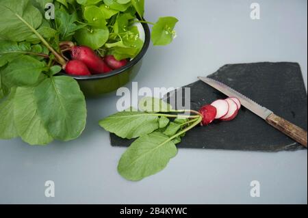 Purer Wintersalat aus dem eigenen Garten Stockfoto