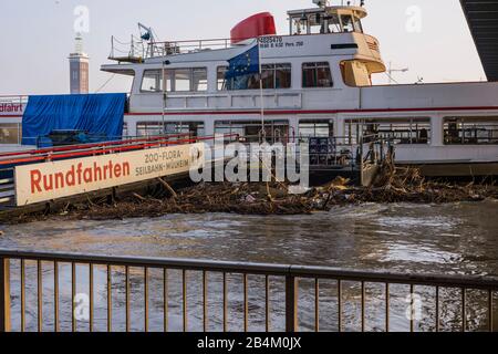 Hochwasser, Rhein, Schiffsanlegestelle, Köln, Nordrhein-Westfalen, Deutschland, Europa Stockfoto