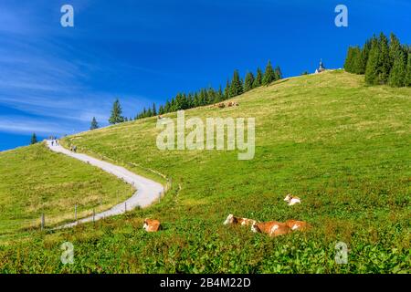 Deutschland, Bayern, Oberbayern, Mangfallgebirge, Tegernseer Tal, Rottach-Egern, Wallberg Stockfoto