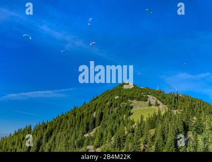 Deutschland, Bayern, Oberbayern, Mangfallgebirge, Tegernseer Tal, Rottach-Egern, Wallberggipfel Stockfoto