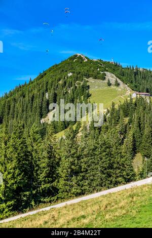 Deutschland, Bayern, Oberbayern, Mangfallgebirge, Tegernseer Tal, Rottach-Egern, Wallberggipfel Stockfoto