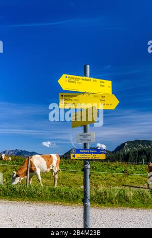 Deutschland, Bayern, Oberbayern, Mangfallgebirge, Tegernseer Tal, Rottach-Egern, Wallberg, Wegweiser nahe Wallberghaus Stockfoto