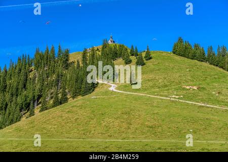 Deutschland, Bayern, Oberbayern, Mangfallgebirge, Tegernseer Tal, Rottach-Egern, Wallberg Stockfoto