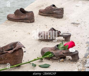 Rote Rose auf dem Schuhdenkmal: Detail aus einer eisernen Schuhskulptur entlang der Donau-Böschung. Zur Erinnerung an die Opfer, die 1944-45 von Pfeilkreuzmilitiären in die Donau geschossen wurden. Concieved by Can Today, sculpted and replaced 16 April 2005 by Gyula Pauer. Stockfoto