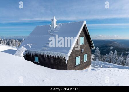 Deutschland, Baden-Württemberg, Schwarzwald, Holzhaus bei Hornisgrinde (1163 m) der höchste Berg im nördlichen Schwarzwald. Stockfoto