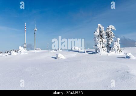 Deutschland, Baden-Württemberg, Schwarzwald, märchenhafte Winterlandschaft auf der Hornisgrinde (1163 m) höchster Berg des Nordschwarzwaldes. Stockfoto