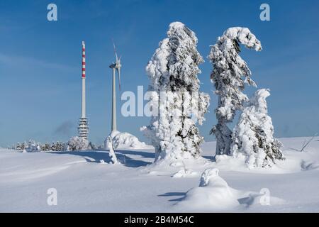 Deutschland, Baden-Württemberg, Schwarzwald, märchenhafte Winterlandschaft auf der Hornisgrinde (1163 m) höchster Berg des Nordschwarzwaldes. Stockfoto