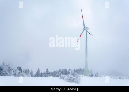 Deutschland, Baden-Württemberg, Schwarzwald, Windrad auf der Hornisgrinde. Stockfoto