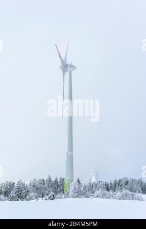 Deutschland, Baden-Württemberg, Schwarzwald, Windrad auf der Hornisgrinde. Stockfoto