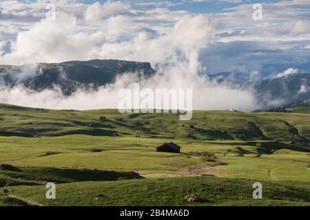 Italien, Südtirol, Dolmen, Seiser Alm, Grüne Almwiesen mit aufsteigenden Wolken aus dem Tal Stockfoto