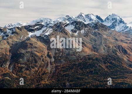 Schweiz, Graubünden, Engadin, Oberengadin, St. Moritz, Blick vom Piz Nair zum Piz Cambrena, Piz Palü, Bellavista, Piz Morteratsch, Piz Bernina Biancograt und Piz Roseg Stockfoto