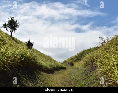 Ein Pfad führt über eine der stabilen Dünen im Sigatoka Sand Dunes National Park auf Viti Levu, Fidschi Stockfoto