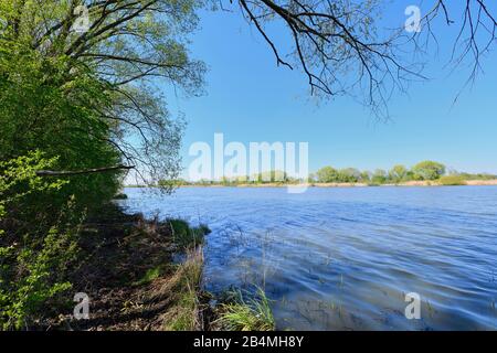 Altmühlsee im Frühjahr, Muhr am See, Gunzenhausen, Fränkische Seenplatte, Mittelfranken, Bayern, Deutschland Stockfoto