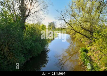 Altmühlsee bei Sonnenuntergang im Frühjahr, Muhr am See, Gunzenhausen, Fränkische Seenplatte, Mittelfranken, Bayern, Deutschland Stockfoto