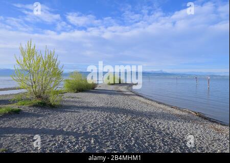 Kieselstrand an der Einmündung des Flusses Argen, Langenargen, Bodensee, Baden-Württemberg, Deutschland Stockfoto