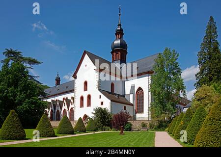 Deutschland, Hessen, Rheingau, Kloster Eberbach bei Eltville am Rhein, Kloster Eberbach (auch Kloster Erbach; lat. Abbatia Eberbacensis) ist eine ehemalige zisterziensische Abtei bei Eltville am Rhein im Rheingau in Hessen. Das für seinen Weinanbau berühmte Kloster war eine der ältesten und bedeutendsten Zistern Deutschlands. Stockfoto