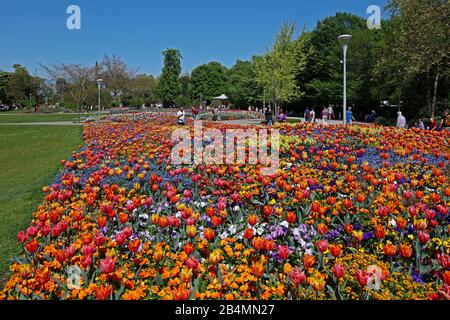 Deutschland, Baden-Württemberg, Mannheim, Luisenpark im Frühjahr, Tulpenblüte, der obere Luisenpark ist der größte und beliebteste Park Mannheims. Stockfoto