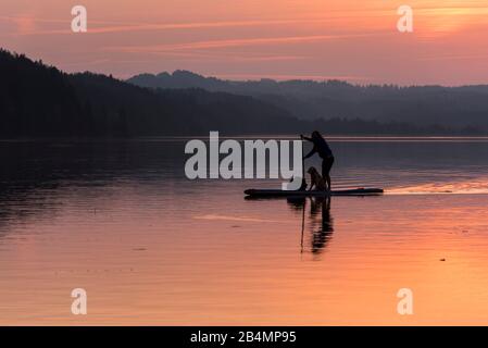 Sommer in Bayern. Impressionen aus dem Alpenvorland: Stand Up Paddler mit Hund auf dem Staffelsee bei Sonnenuntergang Stockfoto