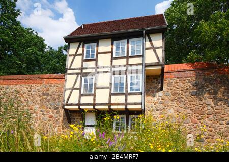 Historisches Wiekhaus an der Stadtmauer, Neubrandenburg, Mecklenburg-Vorpommern, Deutschland, Europa Stockfoto