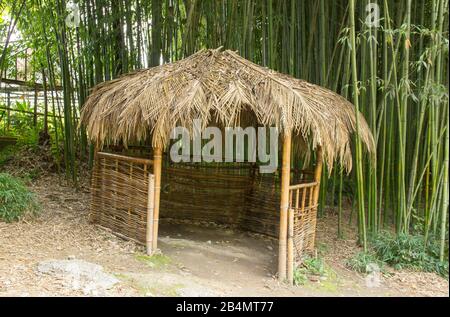 Die tropische Hütte in einem Bambushain Stockfoto