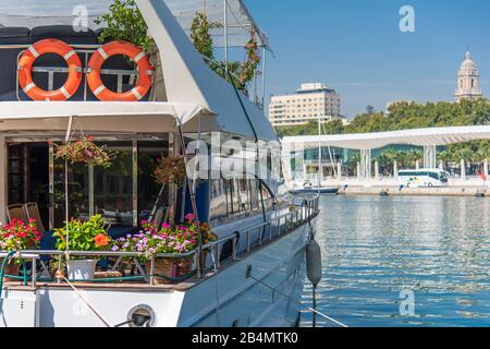 Jacht im Hafen von Málaga, der Kathedrale im Hintergrund. Stockfoto