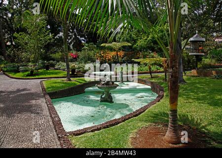 Wasserlauf, Quinta Vigia Garden, Funchal, Madeira, Portugal Stockfoto