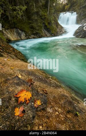 Hornblatt im Herbst auf dem Obernach-Kanal bei Wallgau Stockfoto