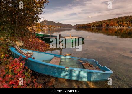 Blaues Fischerboot liegt am Walchensee im Herbst mit Herbstlaub. Stockfoto