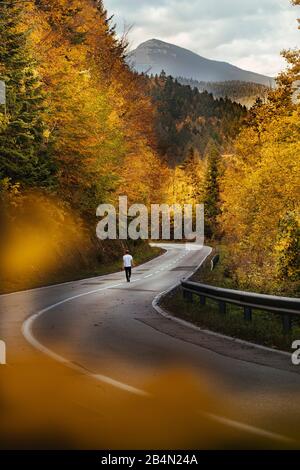 Straße im Wald in Bosnien und Herzegowina Stockfoto